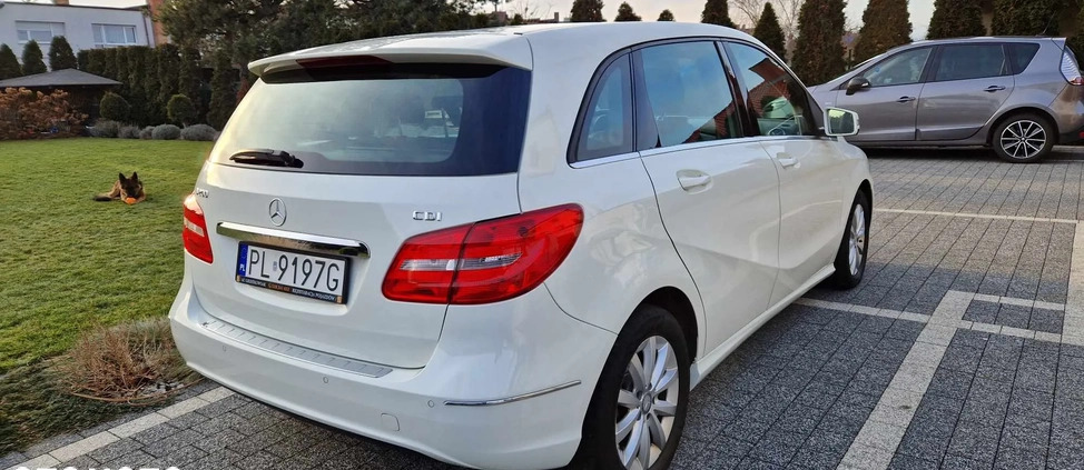 Mercedes-Benz Klasa B cena 42999 przebieg: 204000, rok produkcji 2014 z Leszno małe 277